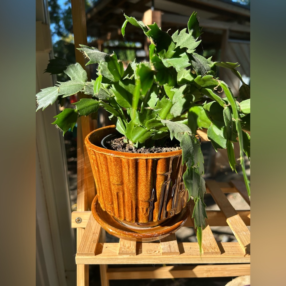 Pot / cache-pot vintage McCoy en céramique USA